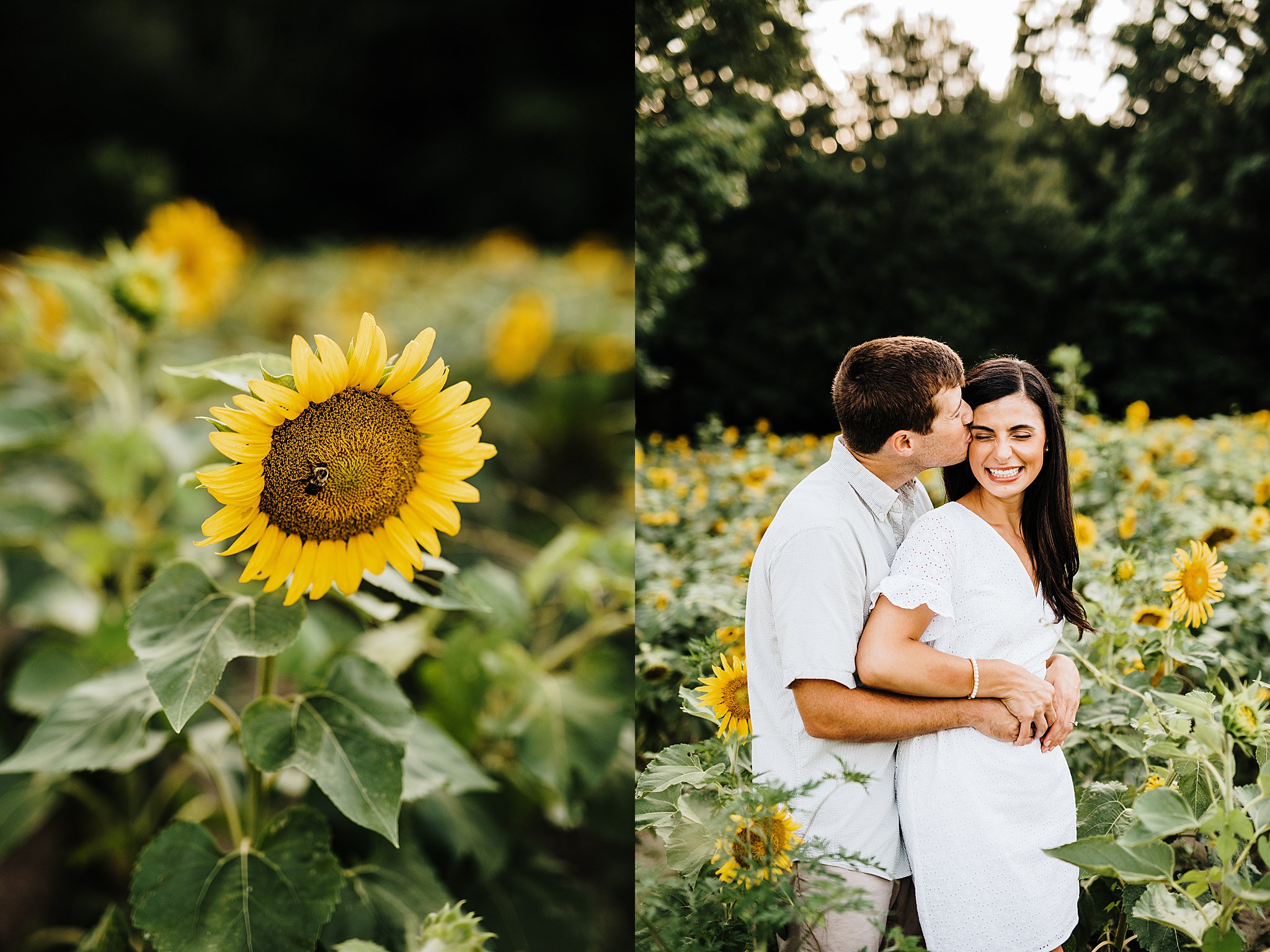 Sunflower Field Engagement Session DE Engagement Photographer