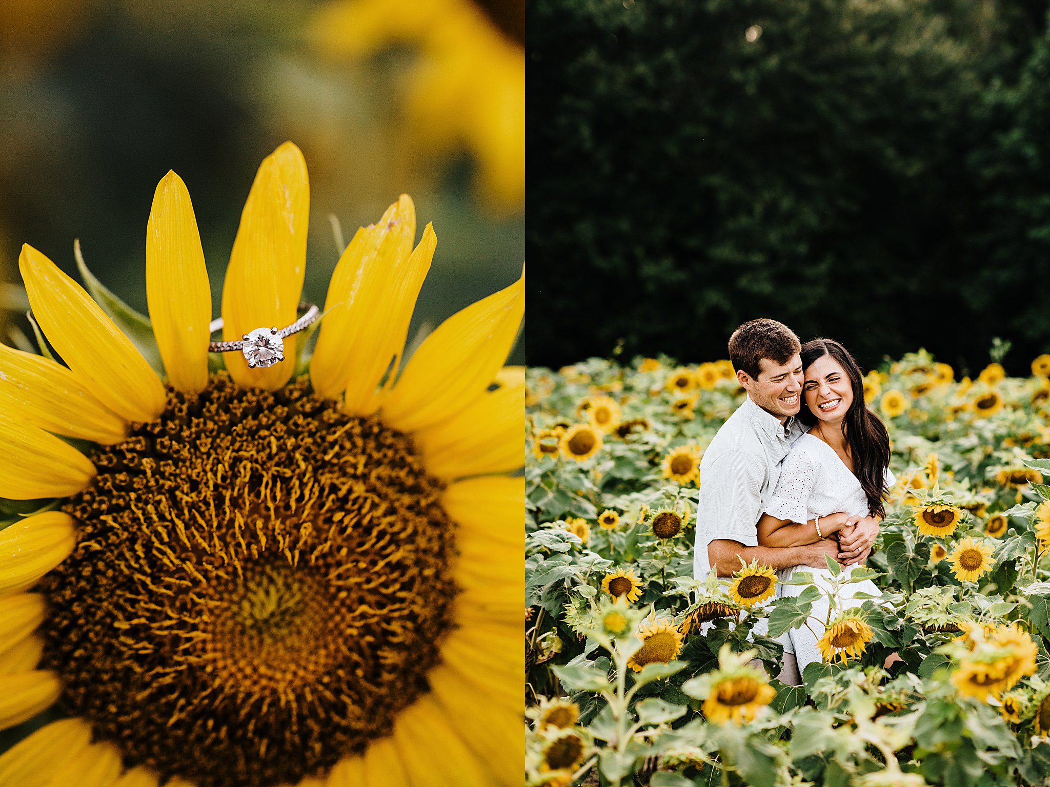 Sunflower Field Engagement Session DE Engagement Photographer